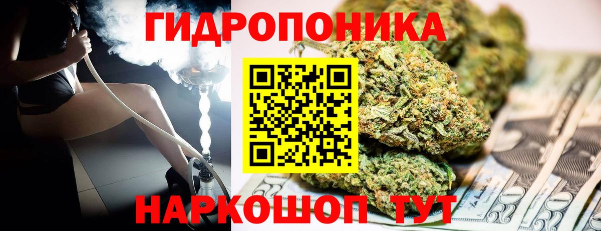 Шишки марихуана VHQ  Бошки марихуана планчик  Вход с VPN  Шишки марихуана индика  Конопля марихуана  Ухта 